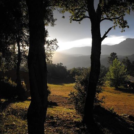 Camping Macanet De Cabrenys Bagian luar foto