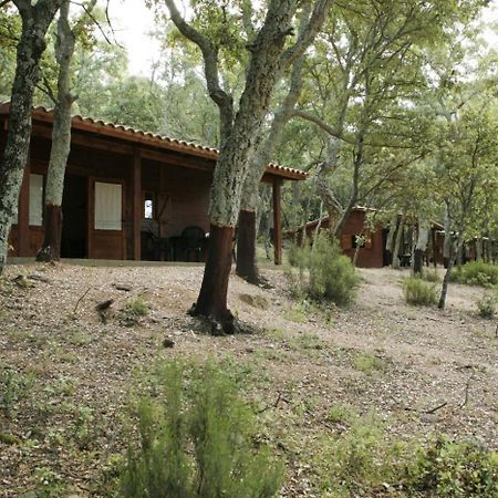 Camping Macanet De Cabrenys Bagian luar foto