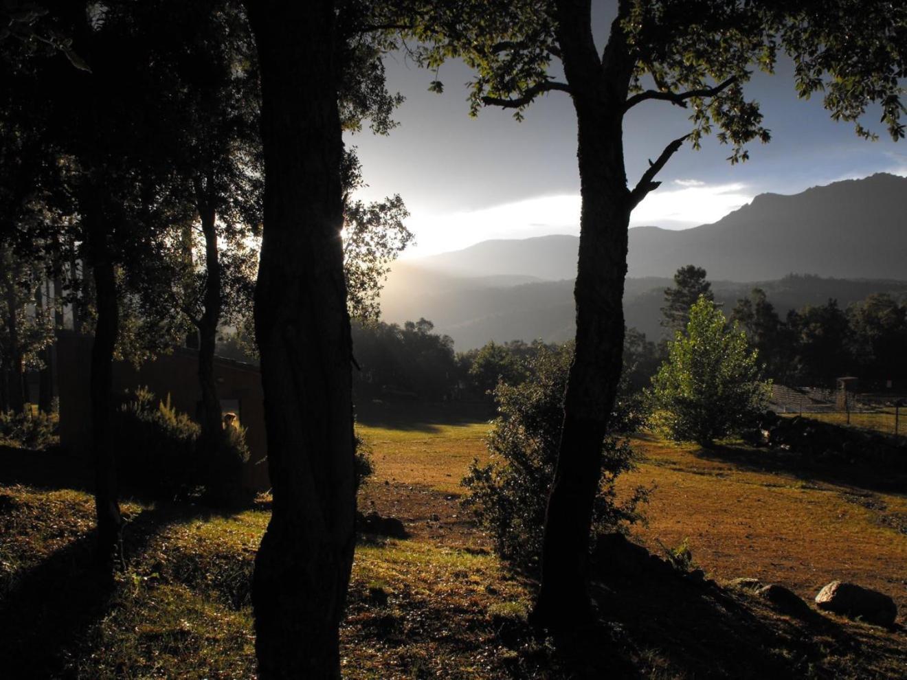 Camping Macanet De Cabrenys Bagian luar foto