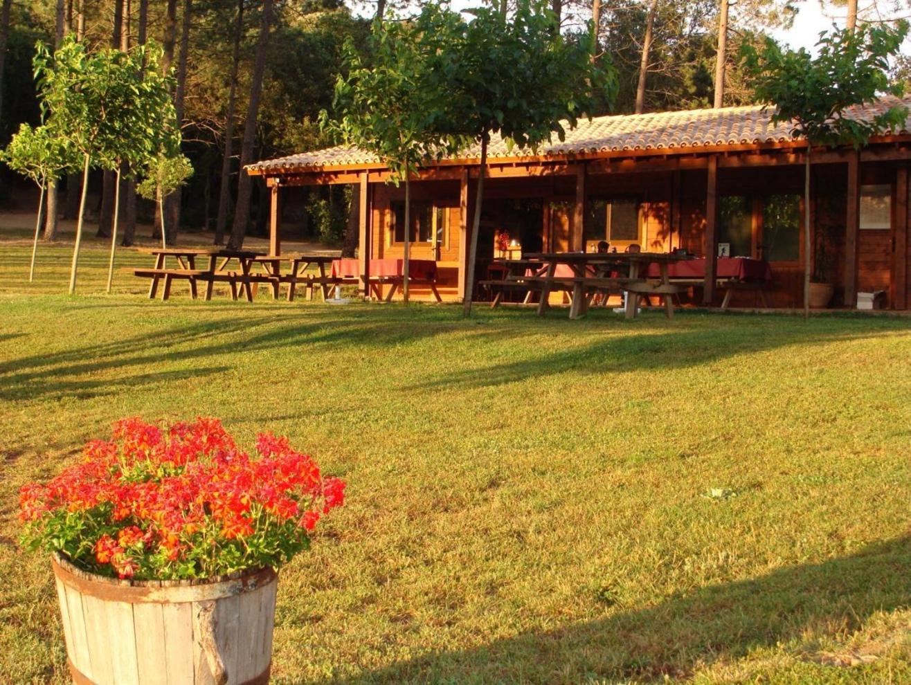 Camping Macanet De Cabrenys Bagian luar foto