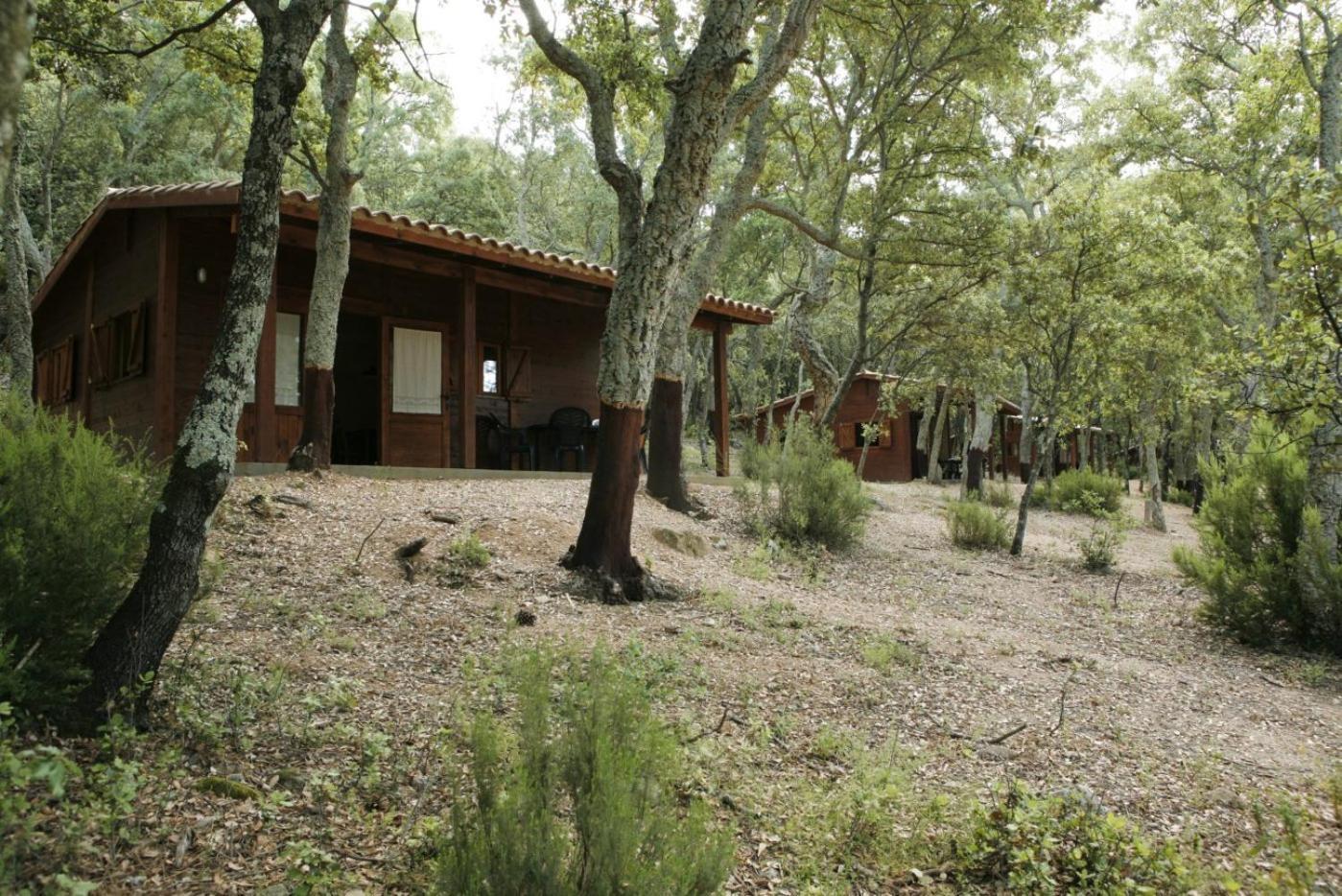 Camping Macanet De Cabrenys Bagian luar foto