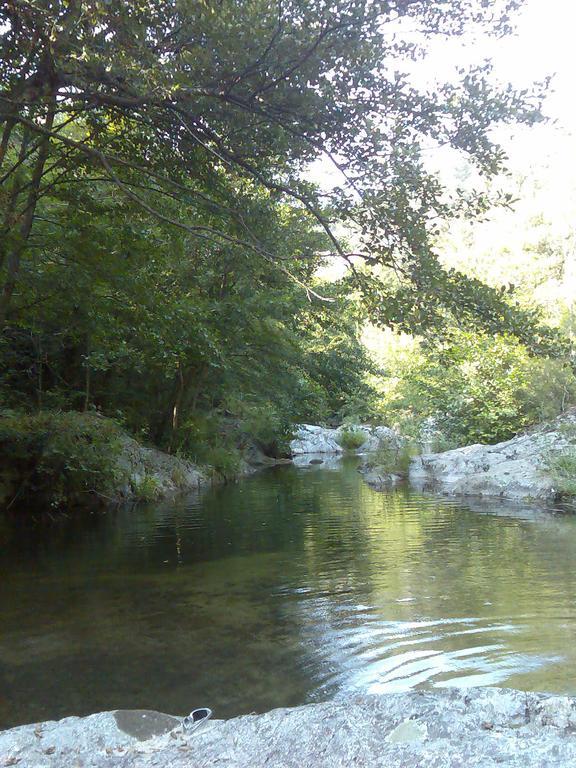 Camping Macanet De Cabrenys Bagian luar foto