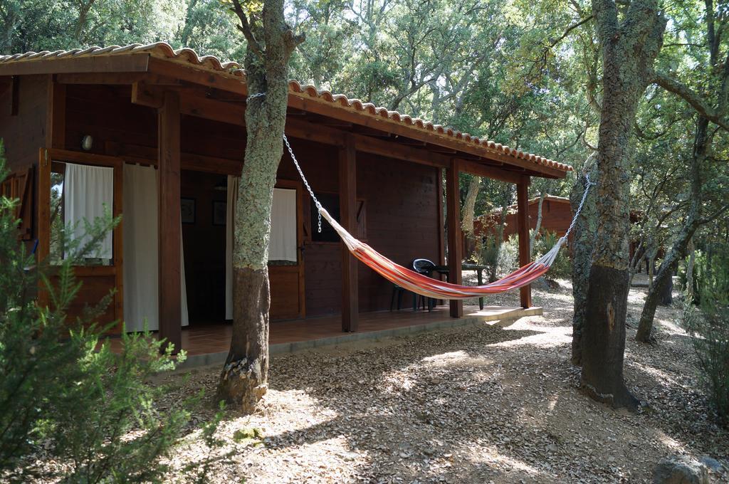 Camping Macanet De Cabrenys Bagian luar foto