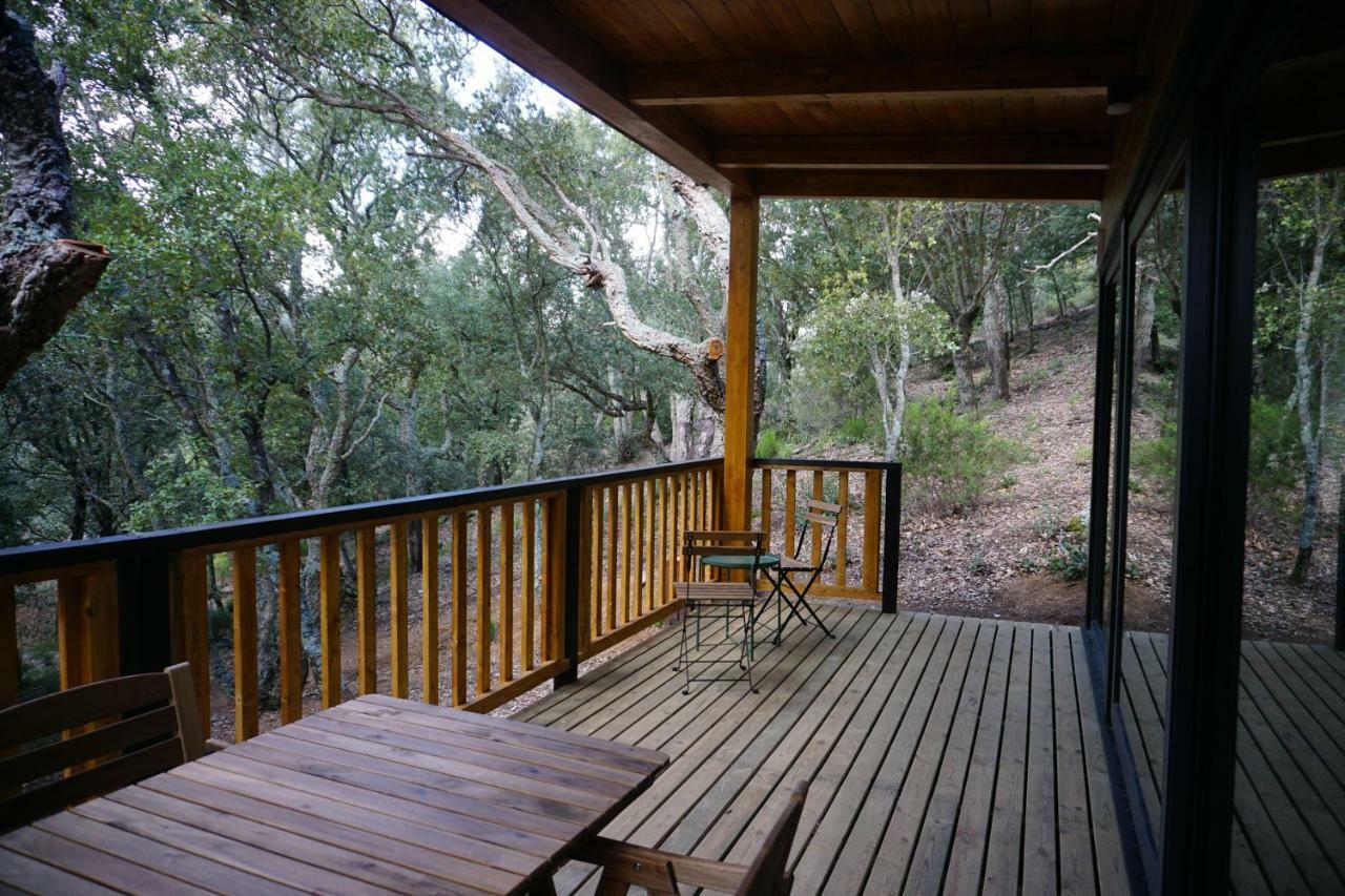 Camping Macanet De Cabrenys Bagian luar foto
